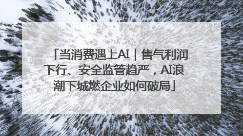 当消费遇上AI｜售气利润下行、安全监管趋严，AI浪潮下城燃企业如何破局