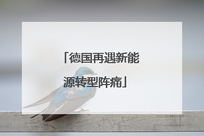 德国再遇新能源转型阵痛