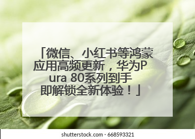 微信、小红书等鸿蒙应用高频更新，华为Pura 80系列到手即解锁全新体验！