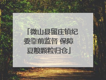 微山县留庄镇纪委靠前监督 保障夏粮颗粒归仓