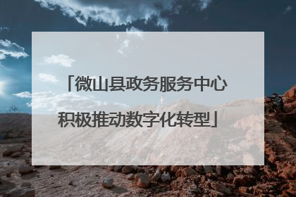 微山县政务服务中心积极推动数字化转型