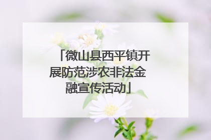 微山县西平镇开展防范涉农非法金融宣传活动