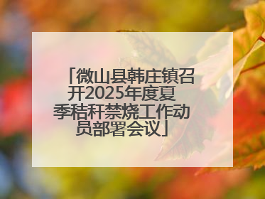 微山县韩庄镇召开2025年度夏季秸秆禁烧工作动员部署会议