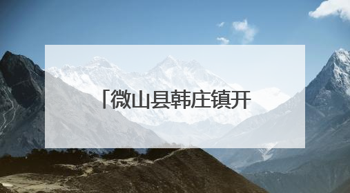 微山县韩庄镇开展防汛应急演练