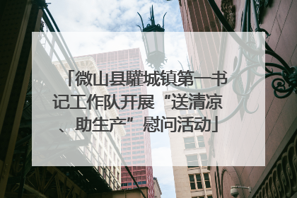 微山县驩城镇第一书记工作队开展“送清凉、助生产”慰问活动
