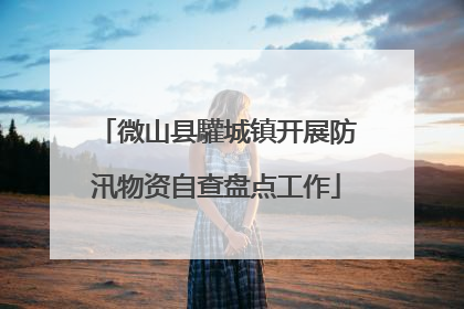 微山县驩城镇开展防汛物资自查盘点工作