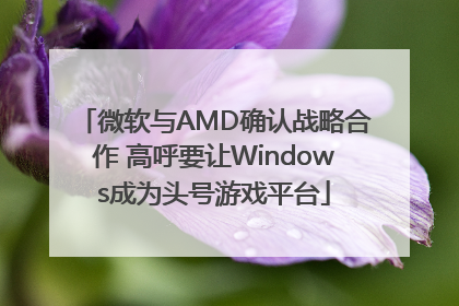 微软与AMD确认战略合作 高呼要让Windows成为头号游戏平台