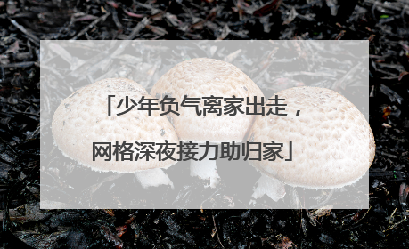 少年负气离家出走，网格深夜接力助归家