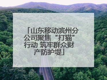 山东移动滨州分公司聚焦“打猫”行动 筑牢群众财产防护堤