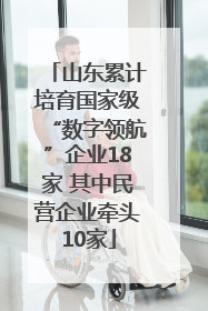山东累计培育国家级“数字领航”企业18家 其中民营企业牵头10家