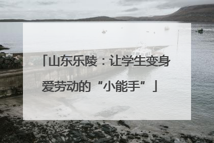 山东乐陵：让学生变身爱劳动的“小能手”