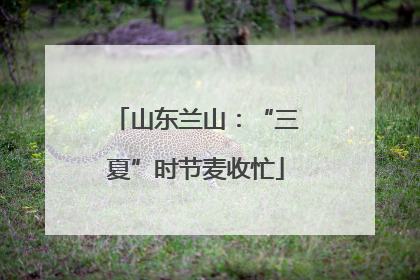 山东兰山：“三夏”时节麦收忙