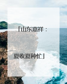 山东嘉祥：夏收夏种忙