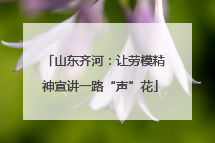 山东齐河：让劳模精神宣讲一路“声”花