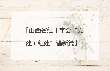 山西省红十字会“党建＋红建”谱新篇