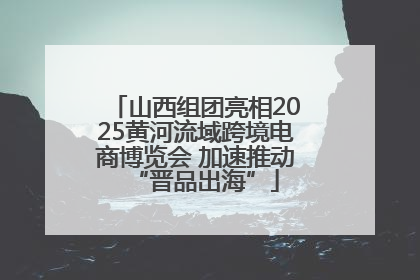 山西组团亮相2025黄河流域跨境电商博览会 加速推动“晋品出海”