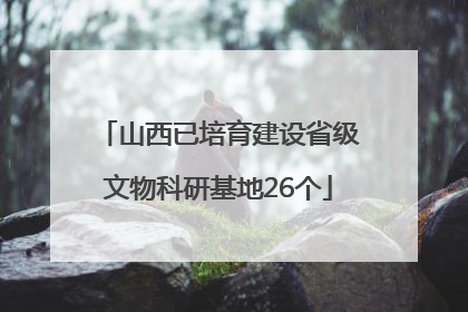山西已培育建设省级文物科研基地26个