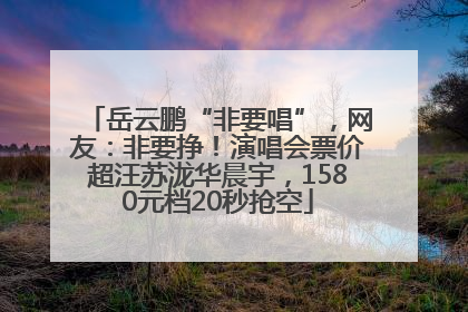 岳云鹏“非要唱”，网友：非要挣！演唱会票价超汪苏泷华晨宇，1580元档20秒抢空