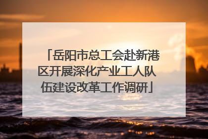 岳阳市总工会赴新港区开展深化产业工人队伍建设改革工作调研