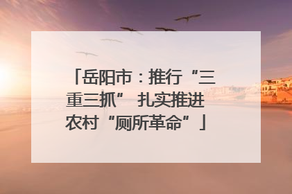 岳阳市：推行“三重三抓” 扎实推进农村“厕所革命”