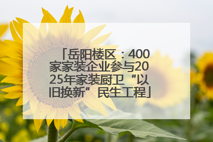 岳阳楼区：400家家装企业参与2025年家装厨卫“以旧换新”民生工程