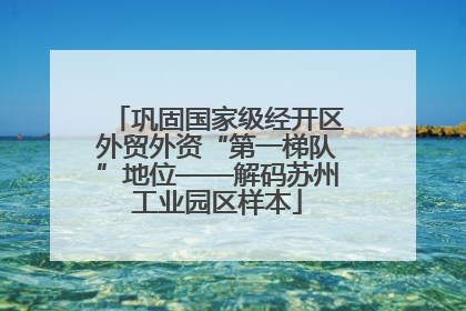 巩固国家级经开区外贸外资“第一梯队”地位——解码苏州工业园区样本