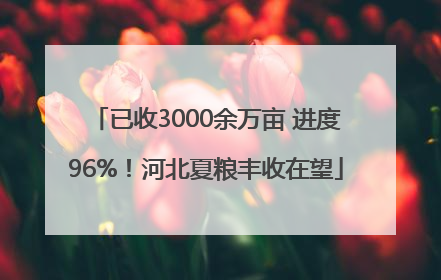 已收3000余万亩 进度96%！河北夏粮丰收在望