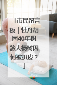 市民留言板｜牡丹胡同40年树龄大杨树因何被扒皮？