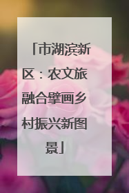 市湖滨新区：农文旅融合擘画乡村振兴新图景