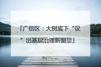 广信区：大树底下“议”出基层治理新图景