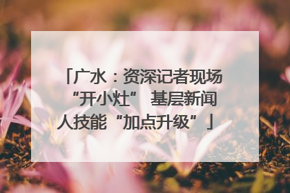 广水：资深记者现场“开小灶” 基层新闻人技能“加点升级”