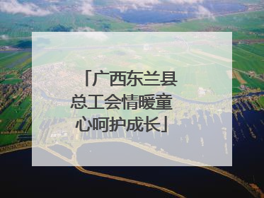 广西东兰县总工会情暖童心呵护成长