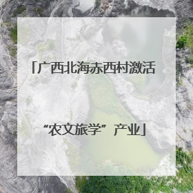 广西北海赤西村激活“农文旅学”产业