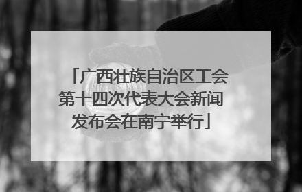 广西壮族自治区工会第十四次代表大会新闻发布会在南宁举行