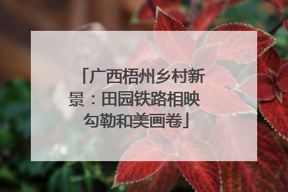 广西梧州乡村新景：田园铁路相映 勾勒和美画卷