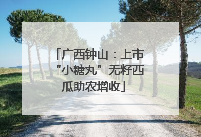 广西钟山：上市“小糖丸”无籽西瓜助农增收