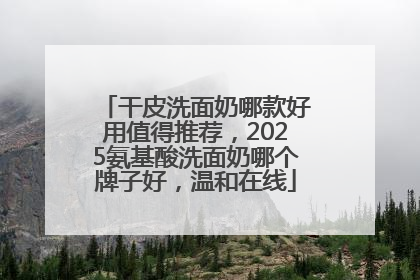 干皮洗面奶哪款好用值得推荐，2025氨基酸洗面奶哪个牌子好，温和在线