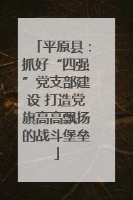 平原县：抓好“四强”党支部建设 打造党旗高高飘扬的战斗堡垒