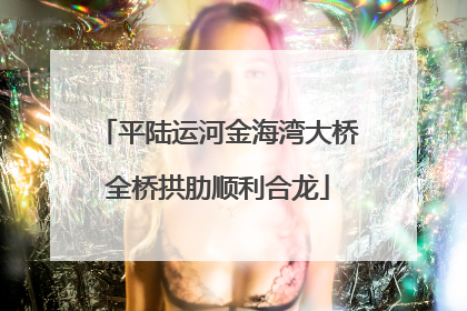 平陆运河金海湾大桥全桥拱肋顺利合龙