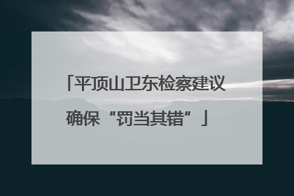 平顶山卫东检察建议确保“罚当其错”