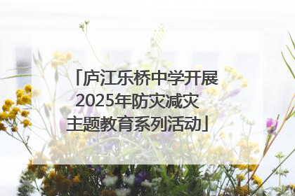 庐江乐桥中学开展2025年防灾减灾主题教育系列活动