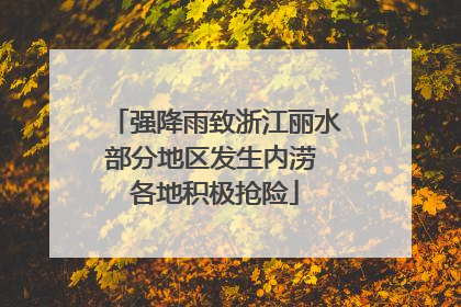 强降雨致浙江丽水部分地区发生内涝 各地积极抢险
