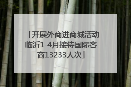 开展外商进商城活动 临沂1-4月接待国际客商13233人次