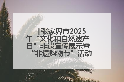 张家界市2025年“文化和自然遗产日”非遗宣传展示暨“非遗购物节”活动在慈利县盛大启幕