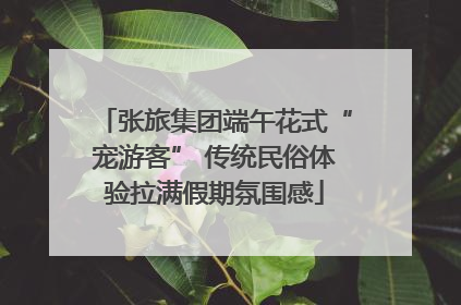 张旅集团端午花式“宠游客” 传统民俗体验拉满假期氛围感
