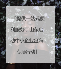 提供一站式便利服务，山东启动中小企业出海专项行动