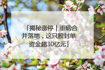 揭秘涨停｜重磅合并落地，这只股封单资金超30亿元