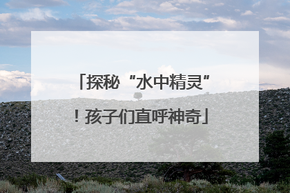 探秘“水中精灵”！孩子们直呼神奇