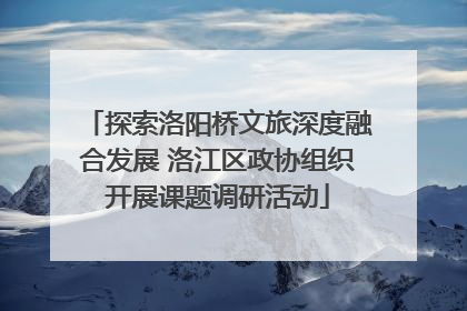 探索洛阳桥文旅深度融合发展 洛江区政协组织开展课题调研活动