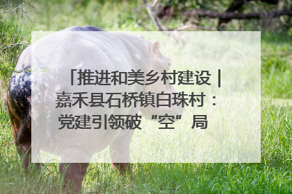 推进和美乡村建设｜嘉禾县石桥镇白珠村：党建引领破“空”局 乡贤聚力绘就新图景